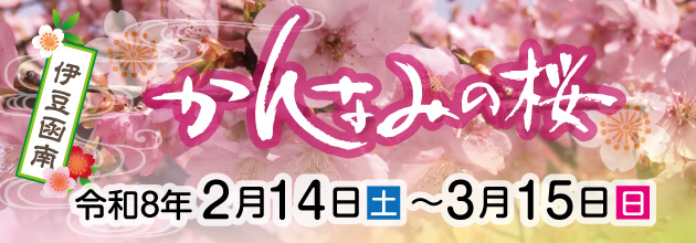 かんなみの桜